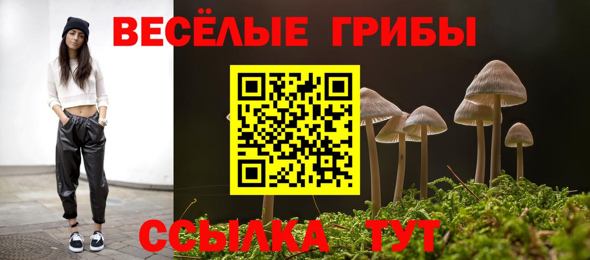 Псилоцибиновые грибы MAGIC MUSHROOMS Богородск