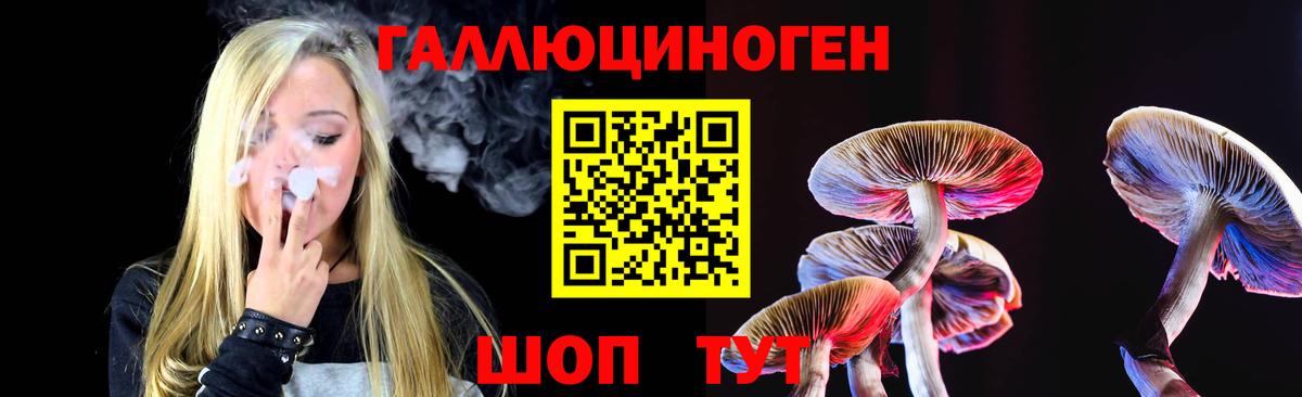 Богородск  Псилоцибиновые грибы Magic Shrooms  Галлюциногенные грибы мицелий  Вход с VPN 